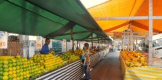Feira Livre no bairro do Engenho Novo