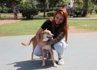 Barueri reforça ações de prevenção e combate à Leishmaniose Barueri Semana Nacional de Combate à Leishmaniose reforça alerta à população sobre prevenção