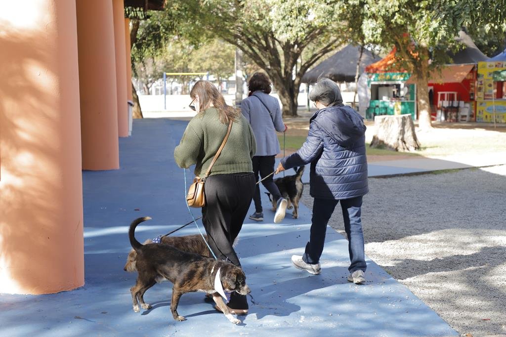 Ipresb e Sema adoção de pets em Barueri