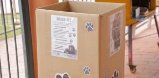 Barueri arrecada doações para pets de ONGs, protetores e famílias em situação de vulnerabilidade Barueri incentiva a campanha de doações para Programa Amigo Pet