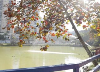 Barueri monitora 18 pontos hídricos para garantir qualidade da água e preservar o meio ambiente Barueri trabalha para preservar o meio ambiente