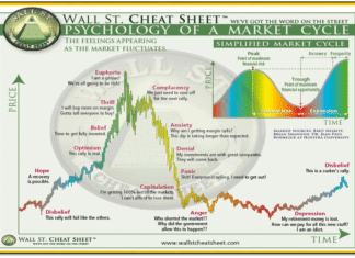 Bitcoin no Ciclo de mercado das Criptomoedas: Como funciona e o que esperar até o final de 2025 Ciclo de Mercado Psicologia Financeira