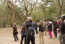 Parque Ecológico do Tietê recebe mais uma edição do “Vem Passarinhar” em Barueri Barueri Vem Passarinhar no Parque Ecológico de Barueri