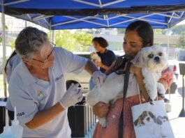 Barueri promove vacinação antirrábica gratuita para cães e gatos em dois sábados de setembro Vacinação antirrábica gratuita será realizada em dois sábados de setembro em Barueri