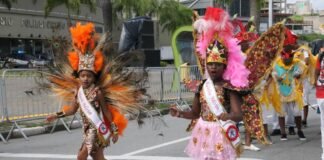 Carnaval Barueri 2026: Confira a programação completa e gratuita Desfile de blocos e escolas de samba no Carnaval de Barueri em frente ao Ginásio José Corrêa