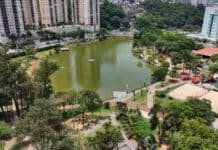 Parque Dom José em Barueri: O seu refúgio de lazer e natureza Moradores de Barueri e região que buscam refúgio do caos urbano Cauber Drone Secom Barueri