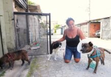 Paixão pelos animais: moradora do Jardim Paulista mobiliza rede de proteção em Barueri Mulher sorridente segurando um animal resgatado no bairro Jardim Paulista em Barueri 1
