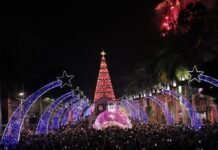 Natal Encantado Barueri 2026: o que já se sabe e o que esperar Foto Natal Encantado começa com romantismo de Anavitória e acendimento da árvore gigante 2025 - Portal Barueri Secom